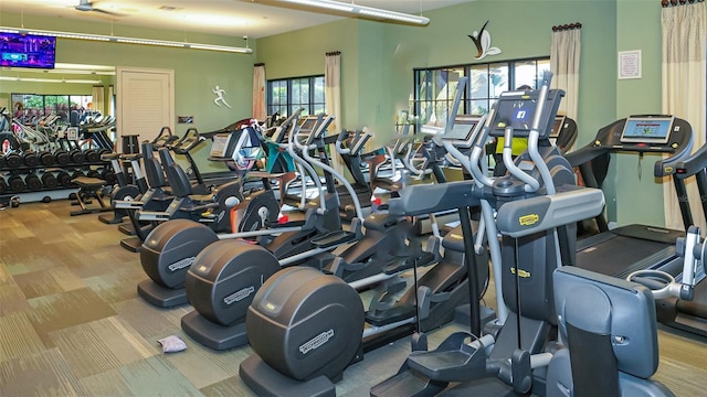exercise room with carpet flooring