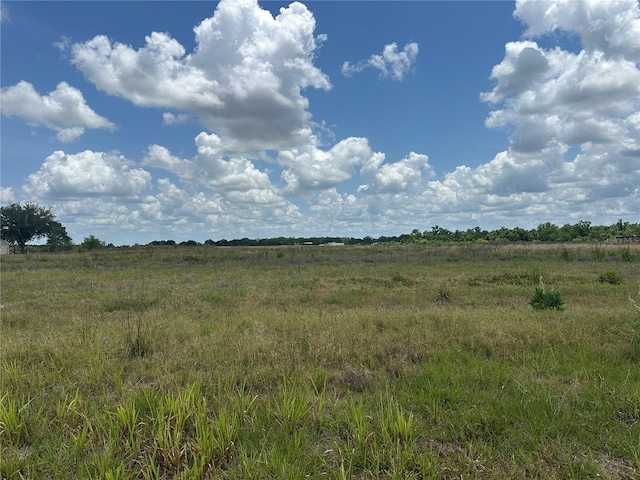 Polk Rd, Wauchula, FL 33873