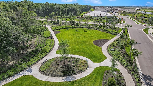 bird's eye view