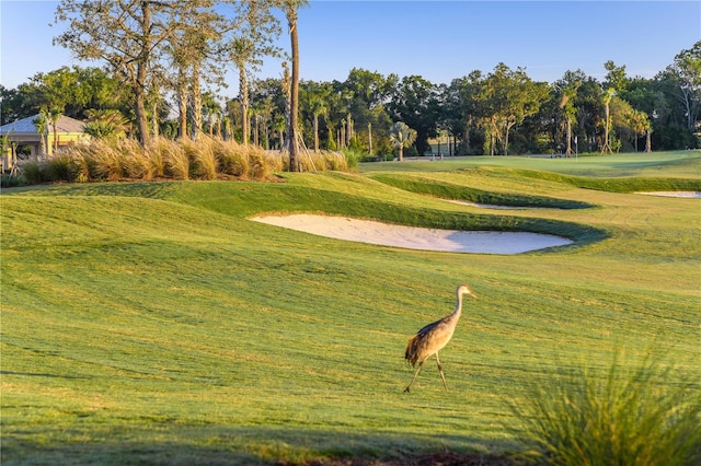 view of home's community with a lawn and golf course view