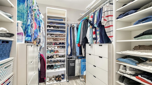 235 Cocoanut Ave Unit 108B, Sarasota, FL 34236 - spacious closet with wood finished floors