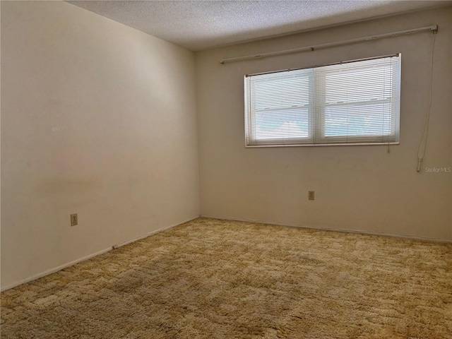 carpeted spare room with a textured ceiling