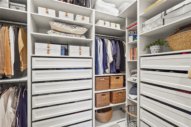 16226 Hidden Oak Loop, Bradenton, FL 34211 - view of spacious closet