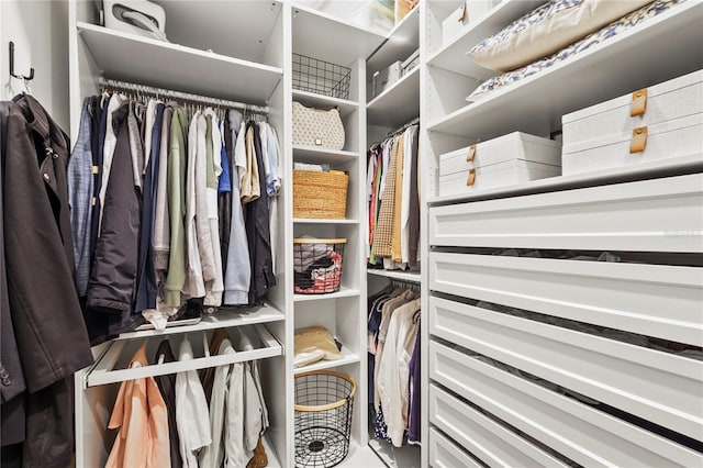 16226 Hidden Oak Loop, Bradenton, FL 34211 - view of walk in closet