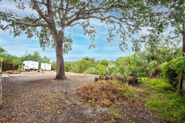 6628 Auburn Ave, Bradenton, FL 34207 - view of yard