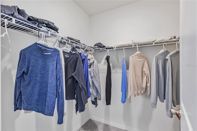 view of spacious closet