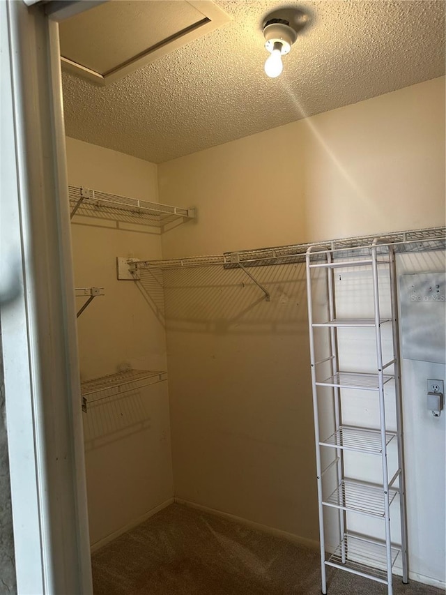 2181 Pine Gardens Trl, Sarasota, FL 34231 - spacious closet with carpet flooring