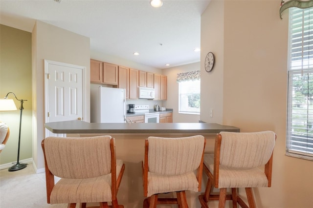 4103 Foristall Ave Unit 4103, Sarasota, FL 34233 - kitchen with white appliances, healthy amount of natural light, light colored carpet, baseboards, and recessed lighting