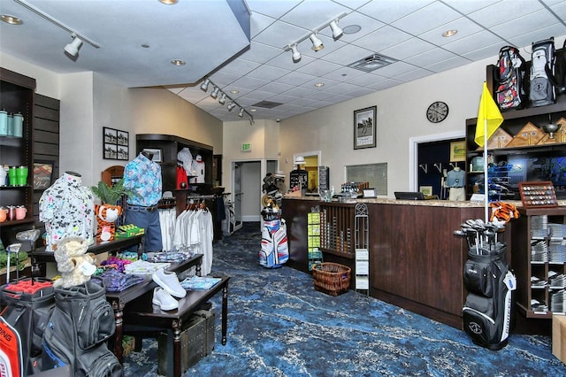 misc room featuring rail lighting and carpet