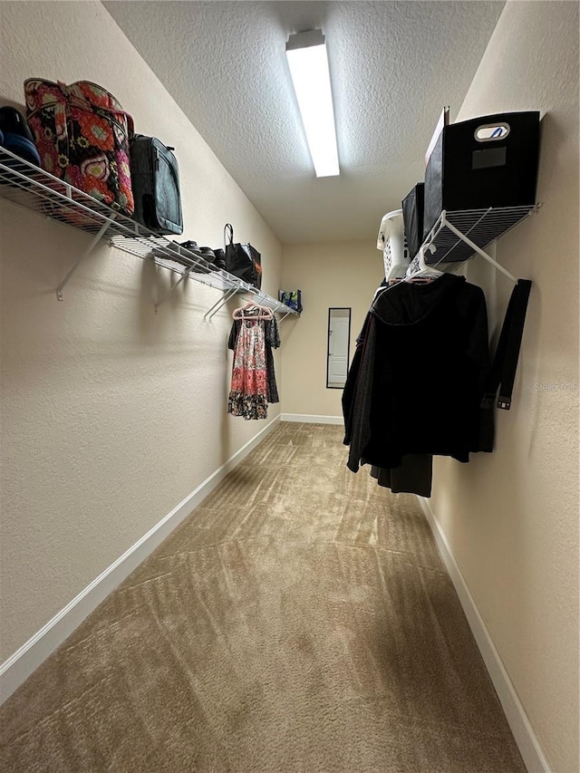 1568 Cordgrass Way, Lakeland, FL 33813 - walk in closet featuring carpet flooring