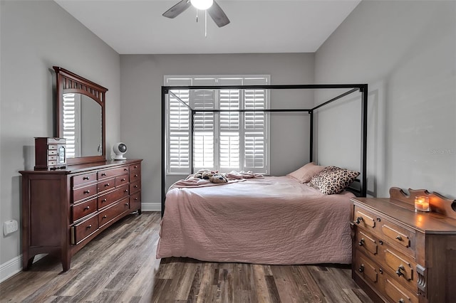 1542 Ormond Ter, Parrish, FL 34219 - bedroom featuring dark wood finished floors, multiple windows, and baseboards