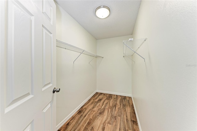 spacious closet featuring wood finished floors