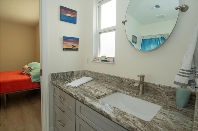 bathroom with wood finished floors and vanity