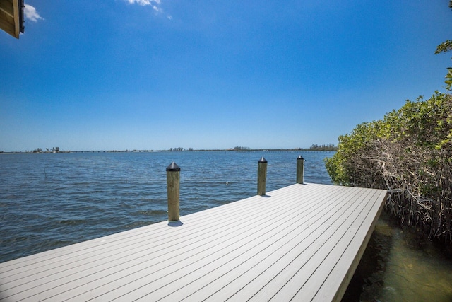 dock area with a water view