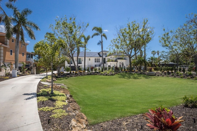 view of community with a lawn