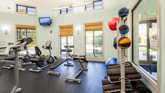 1450 Rolling Fairway Dr, Davenport, FL 33896 - workout area with a towering ceiling