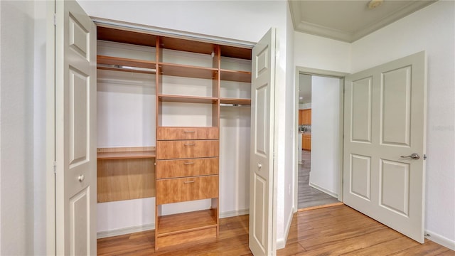 203 28th St W, Palmetto, FL 34221 - view of closet