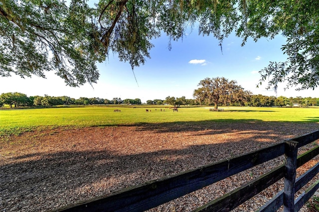 view of grassy yard featuring a view of rural / pastoral area