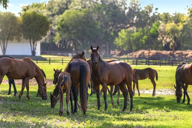 view of stable