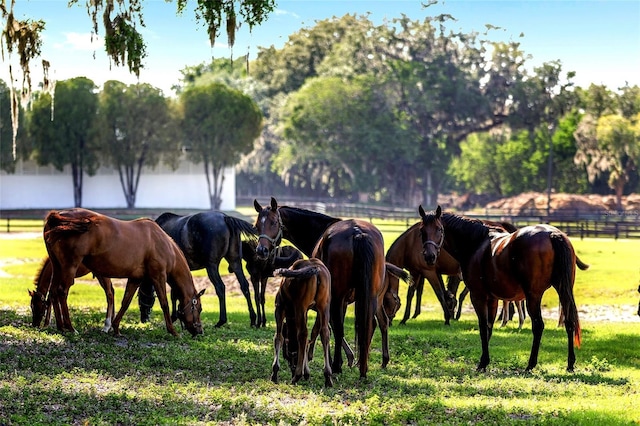 view of horse barn
