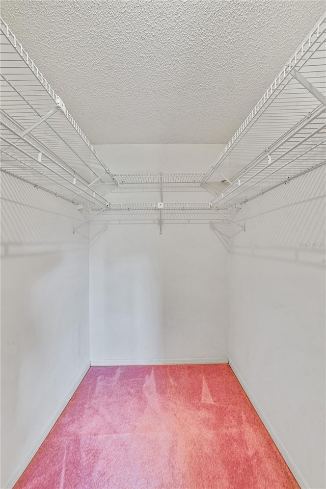 2607 Lancaster Dr Unit 35, Sun City Center, FL 33573 - spacious closet with carpet flooring