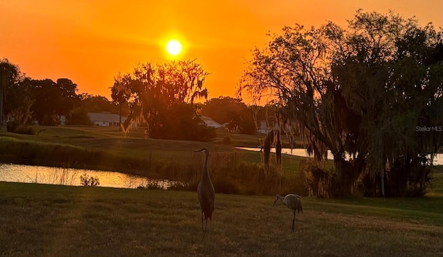 2607 Lancaster Dr Unit 35, Sun City Center, FL 33573 - nature at dusk with a water view