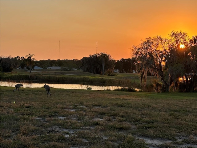 2607 Lancaster Dr Unit 35, Sun City Center, FL 33573 - view of yard with a water view