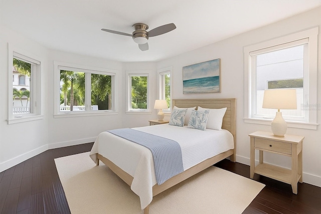 1841 Datura St, Sarasota, FL 34239 - bedroom with multiple windows, baseboards, and dark wood-style flooring