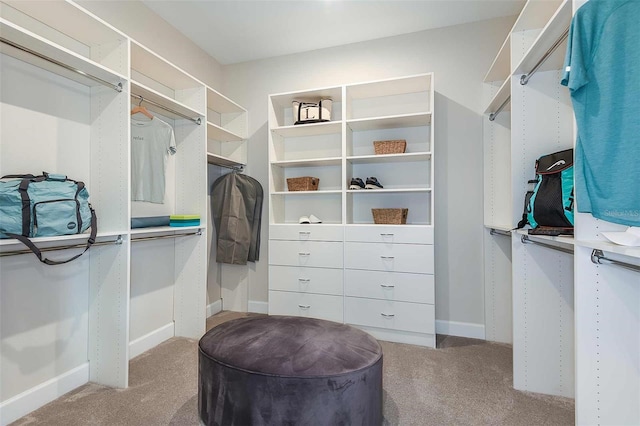 walk in closet with carpet