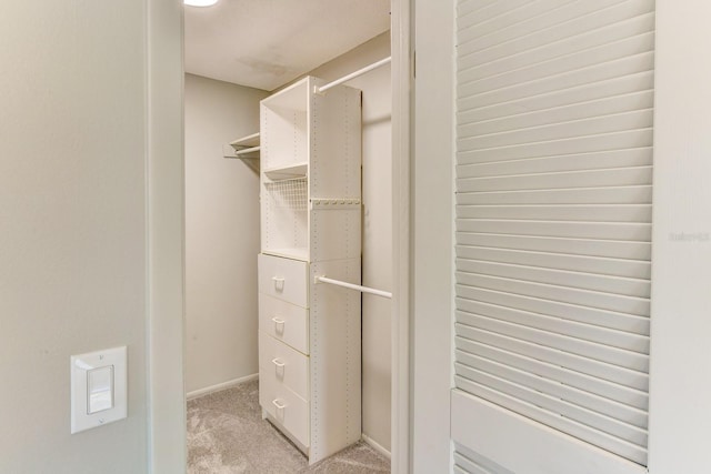 7719 9th Avenue Dr NW, Bradenton, FL 34209 - walk in closet with light carpet
