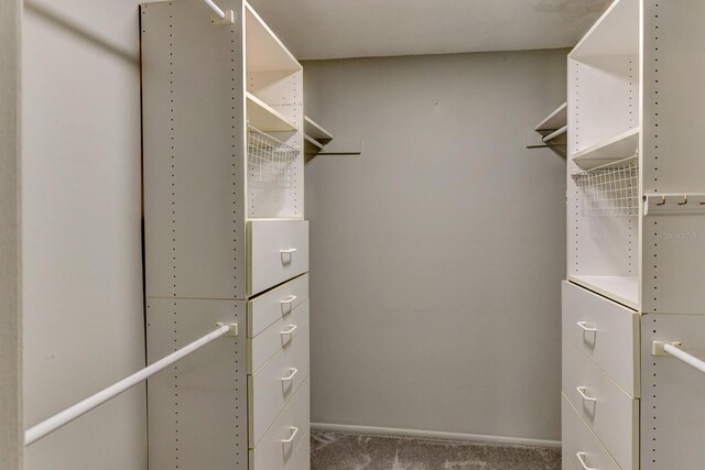 7719 9th Avenue Dr NW, Bradenton, FL 34209 - spacious closet featuring carpet floors