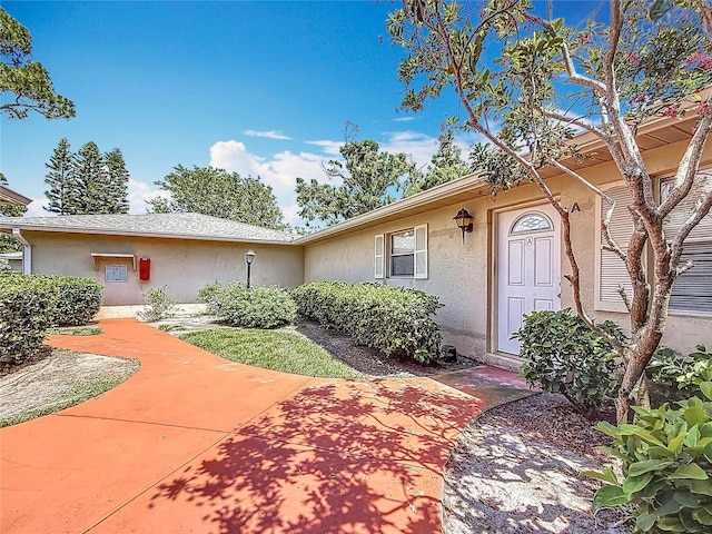 2188 Corinne Ct S Unit A, Saint Petersburg, FL 33712 - view of exterior entry with stucco siding and a patio