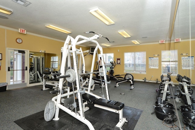 5681 Bidwell Pkwy Unit 102, Sarasota, FL 34233 - gym with ornamental molding and a textured ceiling