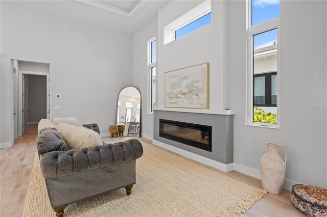 5910 Red Mangrove Ln, Bradenton, FL 34210 - living area with a towering ceiling, arched walkways, light wood-style flooring, a glass covered fireplace, and baseboards