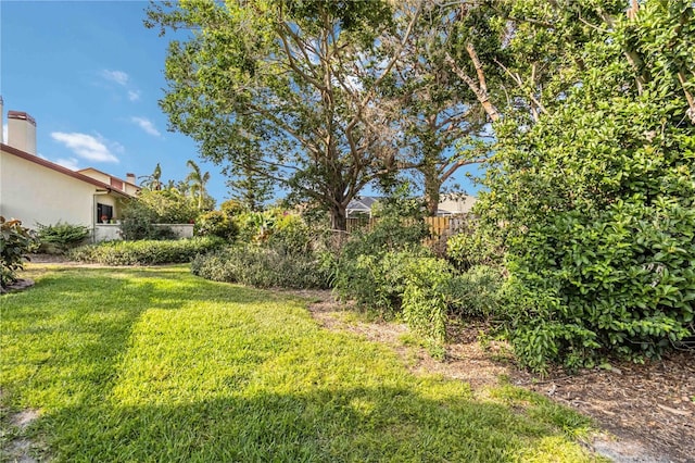 view of yard