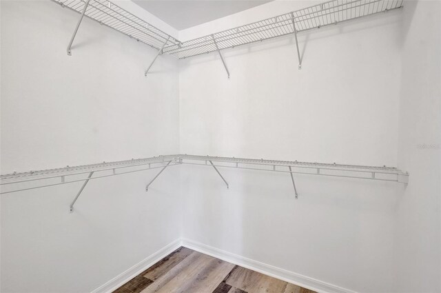 3510 Shawn St, Punta Gorda, FL 33980 - walk in closet with light wood finished floors