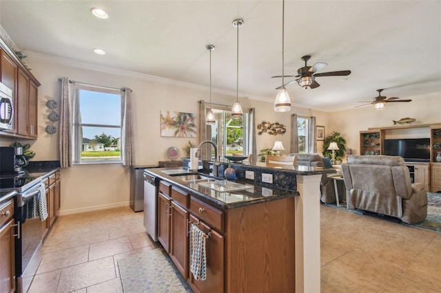 kitchen with a sink, stainless steel appliances, plenty of natural light, ceiling fan, and crown molding