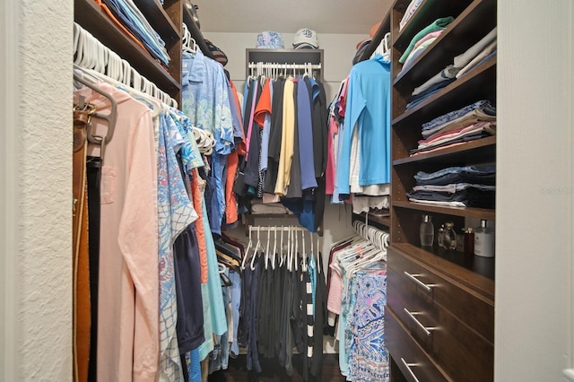 910 Tidewater Shores Loop Unit 103, Bradenton, FL 34208 - view of walk in closet