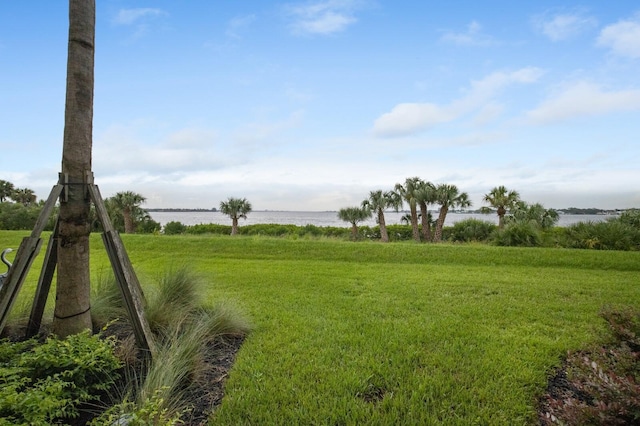 910 Tidewater Shores Loop Unit 103, Bradenton, FL 34208 - view of green lawn with a water view