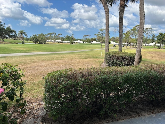 view of property's community with a yard