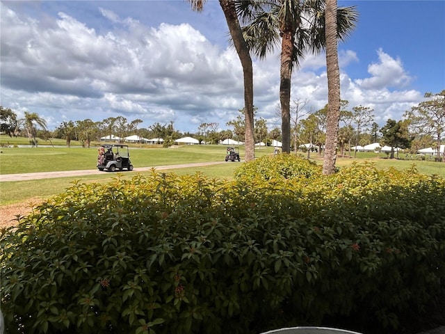 433 Cerromar Ln Unit 331, Venice, FL 34293 - view of grassy yard