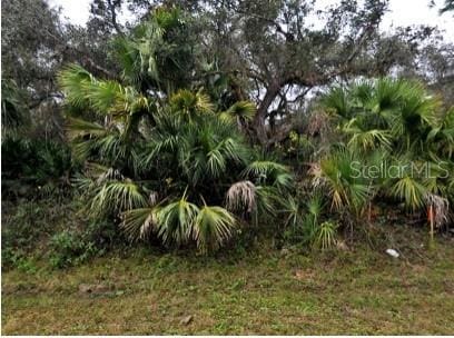 Babroff Ter, North Port, FL 34291