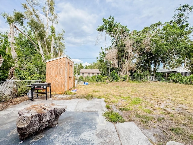 view of yard with a shed, a patio area, and an outbuilding