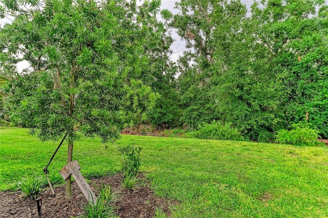 view of grassy yard