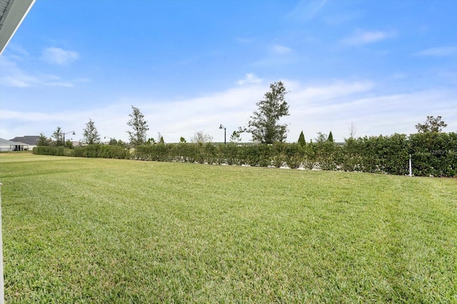 6708 162nd Pl E, Parrish, FL 34219 - view of green lawn