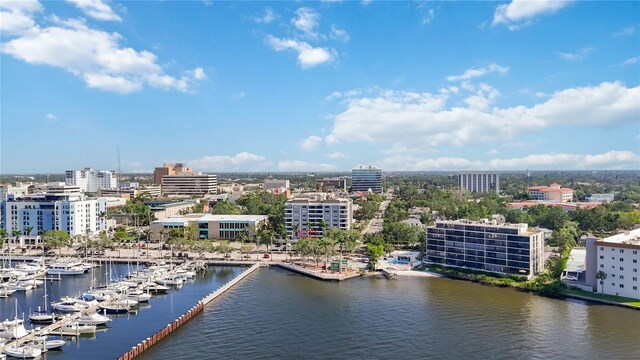 view of urban area with numerous boat docks and a nearby body of water