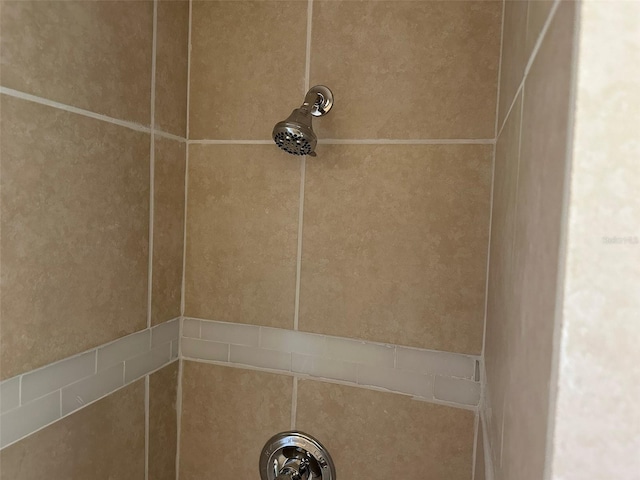 4304 78th St W Unit 4304, Bradenton, FL 34209 - bathroom view of tiled shower