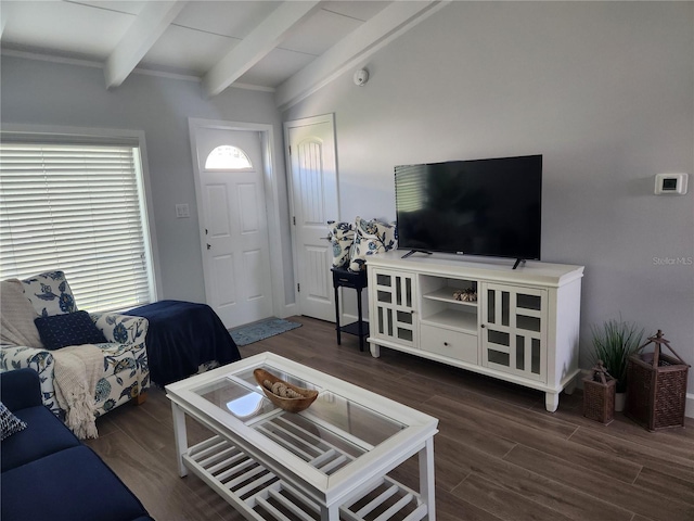 5858 Midnight Pass Rd Unit 27, Sarasota, FL 34242 - living area featuring beam ceiling and wood finished floors
