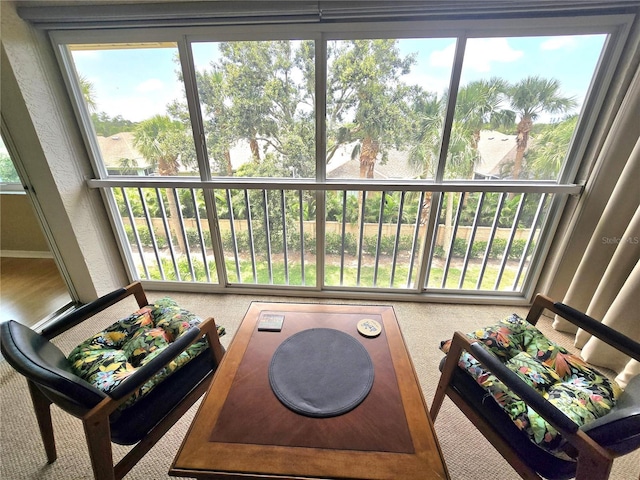 7201 29th Avenue Dr W Unit 306, Bradenton, FL 34209 - view of sunroom