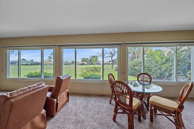 1432 Colony Pl, Venice, FL 34292 - view of sunroom / solarium